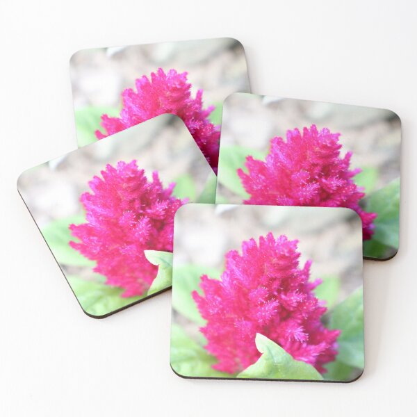 Item preview, Red Celosia designed and sold by PresMatPlays.