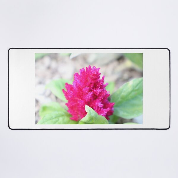 Item preview, Red Celosia designed and sold by PresMatPlays.