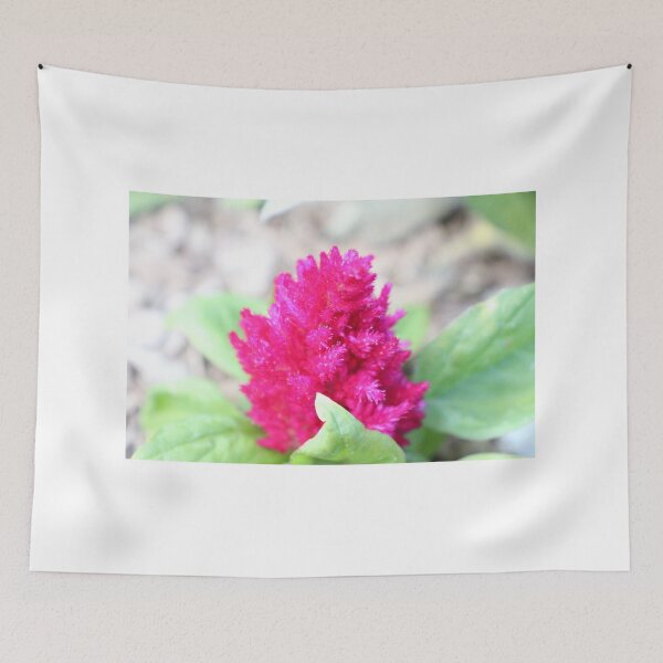 Item preview, Red Celosia designed and sold by PresMatPlays.