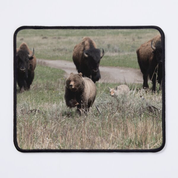 Item preview, grizzly bear in full retreat designed and sold by grizzbass.