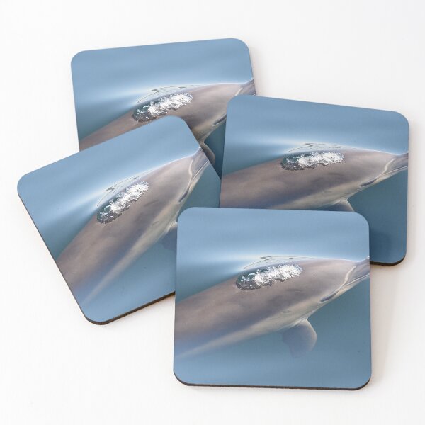 Item preview, Common Dolphin . Inner Hebrides. Scotland designed and sold by Derren Jones.