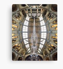 Natural History Museum, London Canvas Print