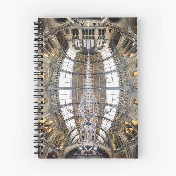 Item preview, Natural History Museum, London designed and sold by Chris Dalton Photography.