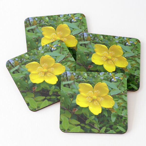 Item preview, St. John's Wort 1 original artwork designed and sold by paragonDesign28.