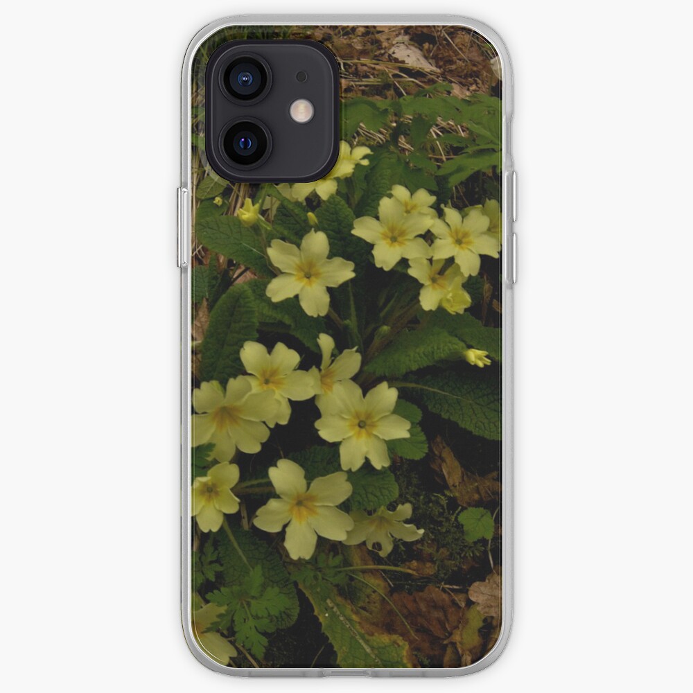Primrose, Drumlamph Wood, County Derry iPhone Case & Cover