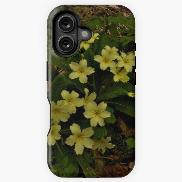Primrose, Drumlamph Wood, County Derry iPhone Tough Case