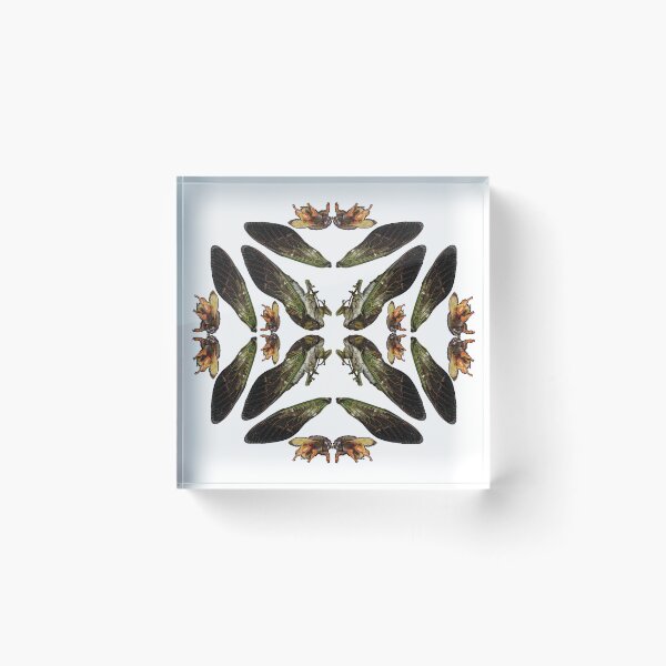 Item preview, Cicada and Bumble Bee mandala designed and sold by DreamingBeetle.