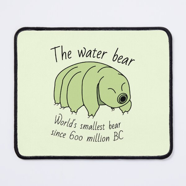 Item preview, The waterbear: worlds smallest bear designed and sold by MicroMarket.