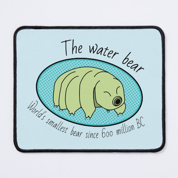 Item preview, The waterbear: worlds smallest bear designed and sold by MicroMarket.