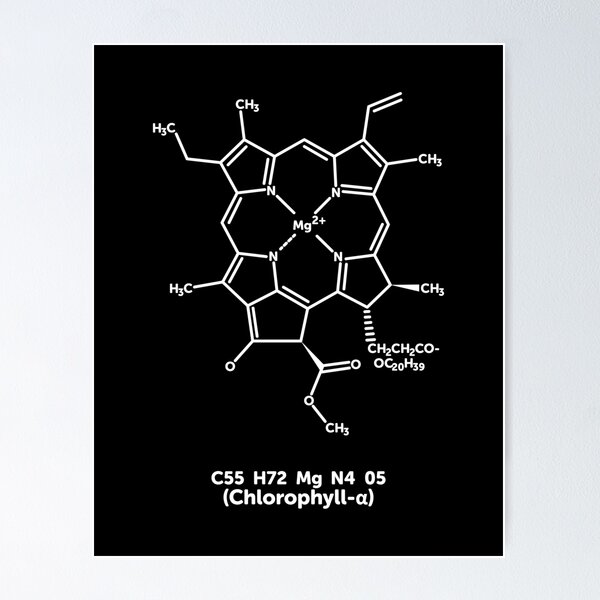 Item preview, Chlorophyll Molecule designed and sold by ScienceCorner.