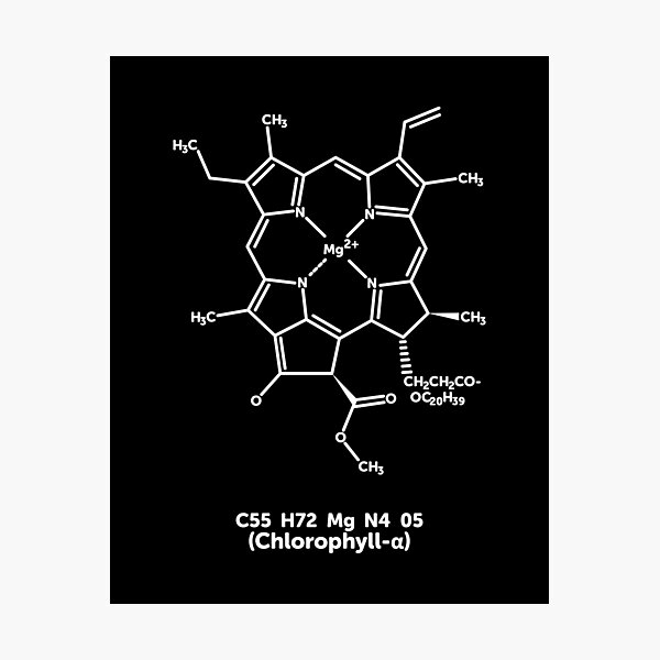 Item preview, Chlorophyll Molecule designed and sold by ScienceCorner.