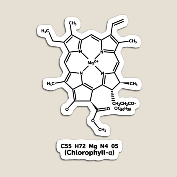 Item preview, Chlorophyll Molecule designed and sold by ScienceCorner.