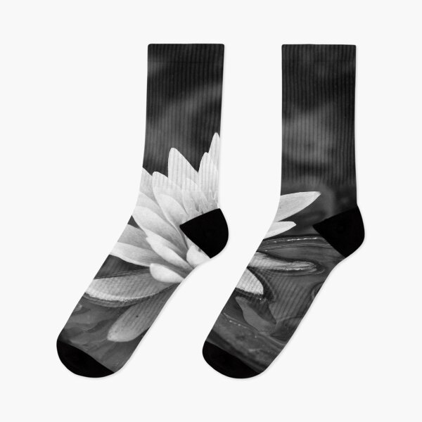 Item preview, Water Lily Black and White designed and sold by Debra Martz.