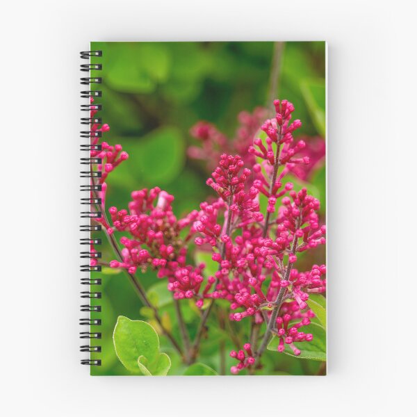 Item preview, Red Lilac Flowers designed and sold by SafariByMarisa.