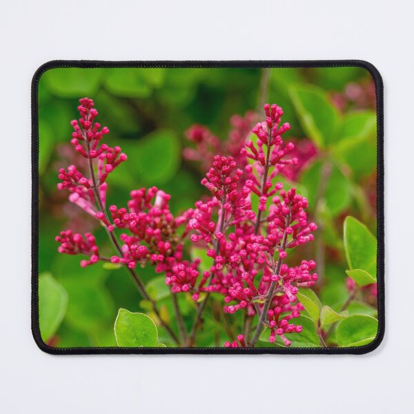 Item preview, Red Lilac Flowers designed and sold by SafariByMarisa.