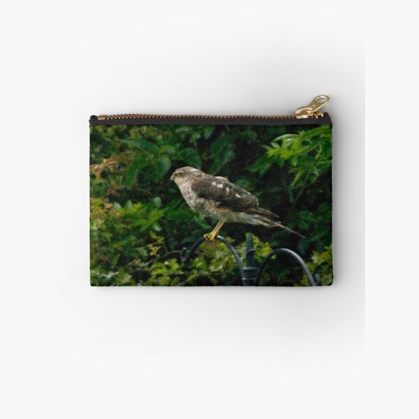 Item preview, Sparrow hawk on feeder designed and sold by keithmilligan.