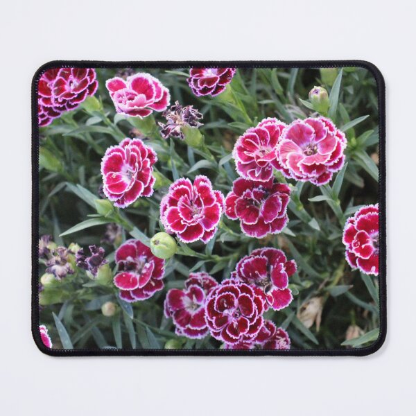 Item preview, Red White Carnation designed and sold by PresMatPlays.