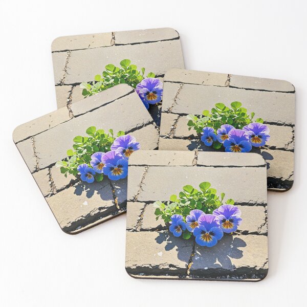 Item preview, Keep Trying  designed and sold by LittleSparrow12.