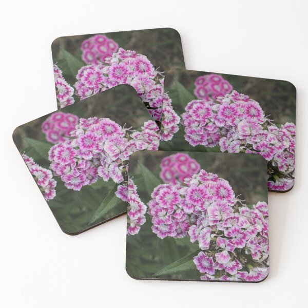 Item preview, Purple Sweet William designed and sold by PresMatPlays.