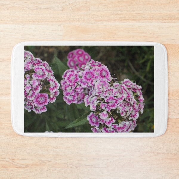 Item preview, Purple Sweet William designed and sold by PresMatPlays.