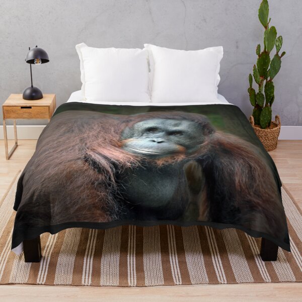 Item preview, Orangutan designed and sold by Savannah Gibbs.