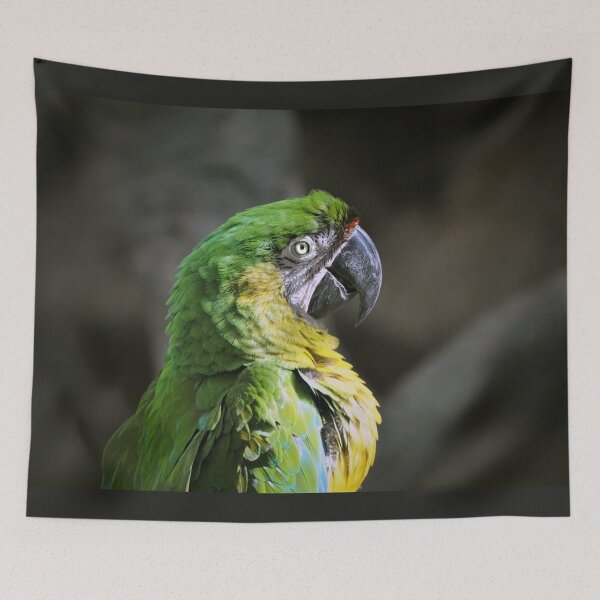 Item preview, Parrot  designed and sold by Savannah Gibbs.