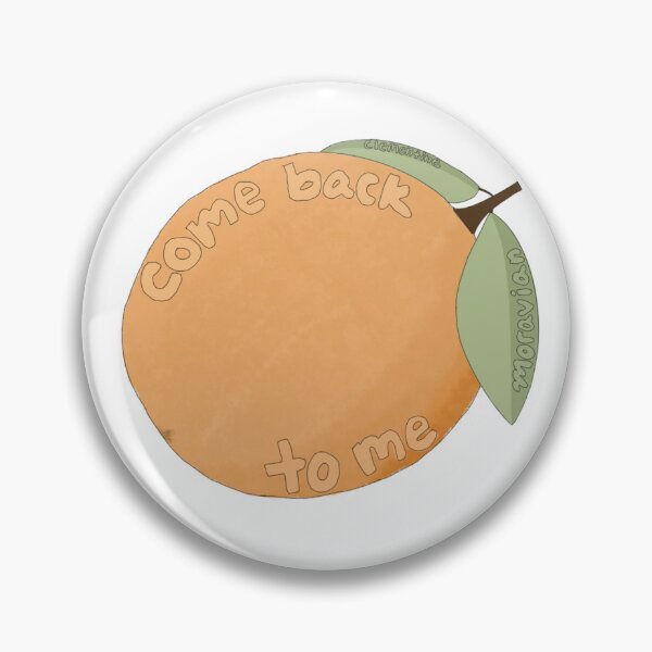 Item preview, Moravian Clementine lyrics sticker designed and sold by mixtapehail.