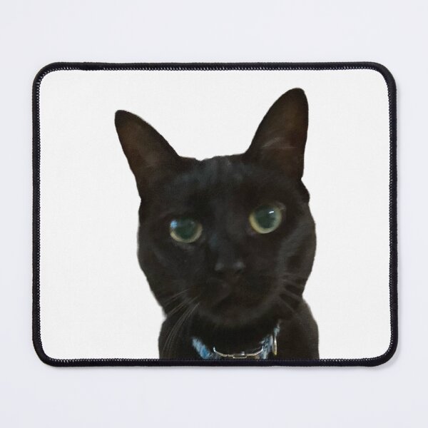 Item preview, Hallie black cat designed and sold by Lauracolleen3.