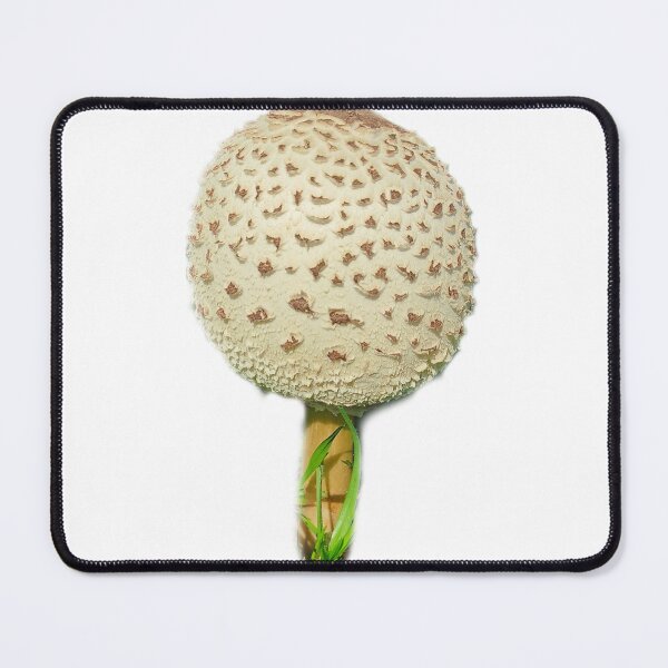 Item preview, The big mushroom designed and sold by NesBN.