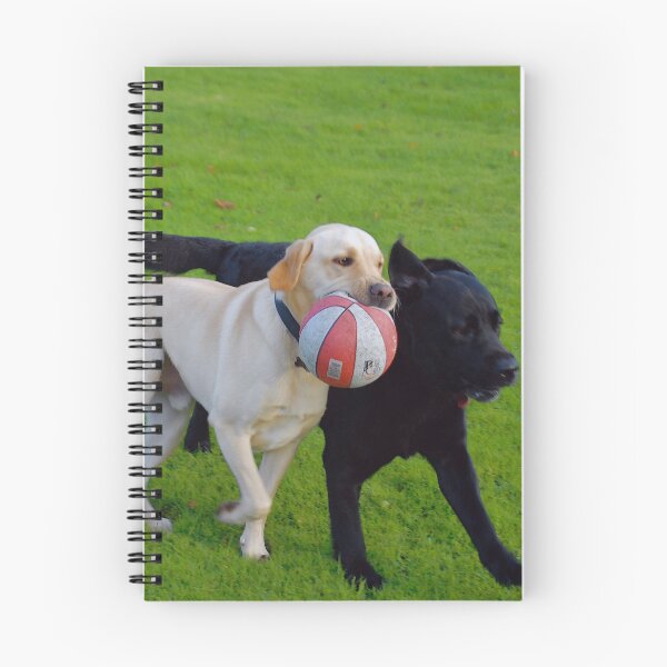 Item preview, Sam & Clough tussle designed and sold by keithmilligan.
