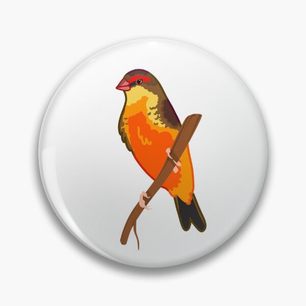 Item preview, Gold-Breasted Waxbill designed and sold by ElizabethsFlock.