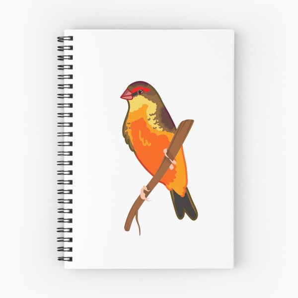 Item preview, Gold-Breasted Waxbill designed and sold by ElizabethsFlock.