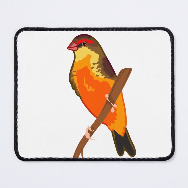 Item preview, Gold-Breasted Waxbill designed and sold by ElizabethsFlock.