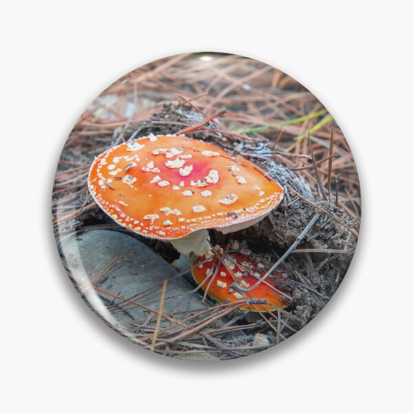 Item preview, Emerging... designed and sold by mitpjenkeating.