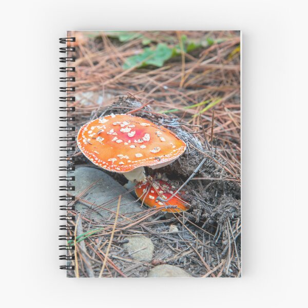 Item preview, Emerging... designed and sold by mitpjenkeating.