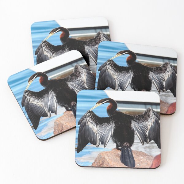 Item preview, Australian darter bird 9333 designed and sold by kevin Chippindall.