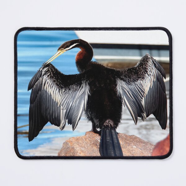 Item preview, Australian darter bird 9333 designed and sold by kevin Chippindall.