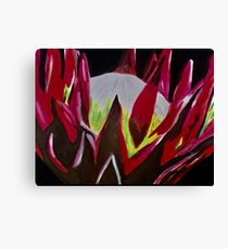 Bloom Canvas Print