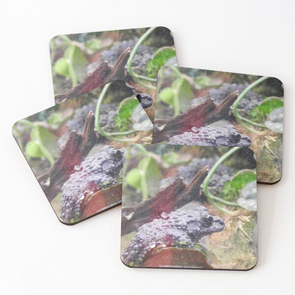 Item preview, Vietnamese Mossy Frog designed and sold by Martina Nicolls.
