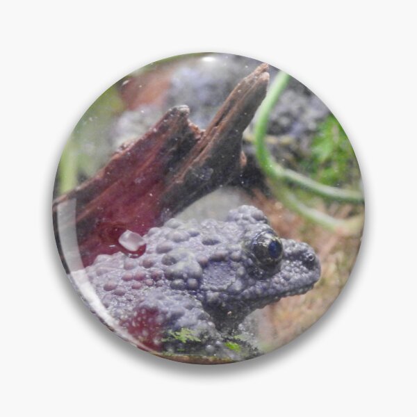 Item preview, Vietnamese Mossy Frog designed and sold by Martina Nicolls.