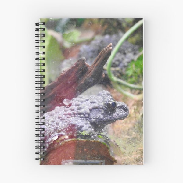 Item preview, Vietnamese Mossy Frog designed and sold by Martina Nicolls.