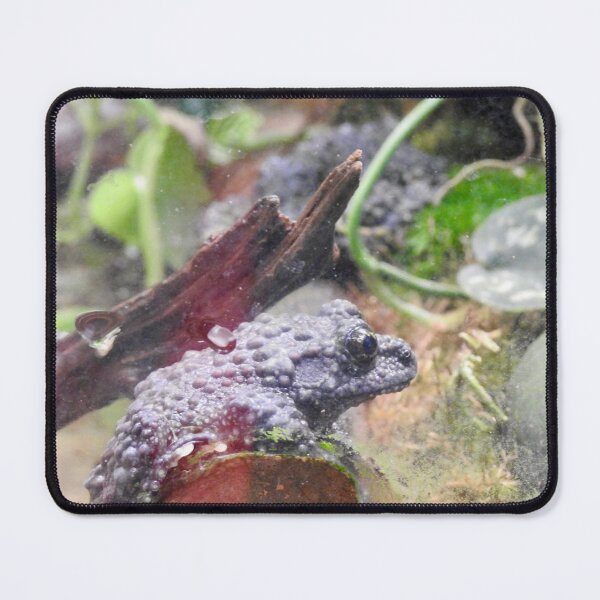 Item preview, Vietnamese Mossy Frog designed and sold by Martina Nicolls.