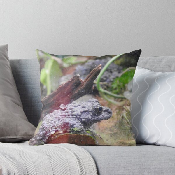 Item preview, Vietnamese Mossy Frog designed and sold by Martina Nicolls.