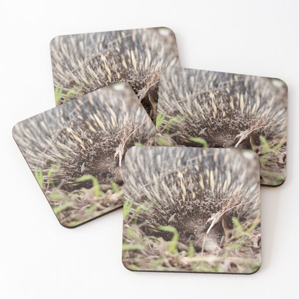 Item preview, Echidna  designed and sold by Pixxowl.
