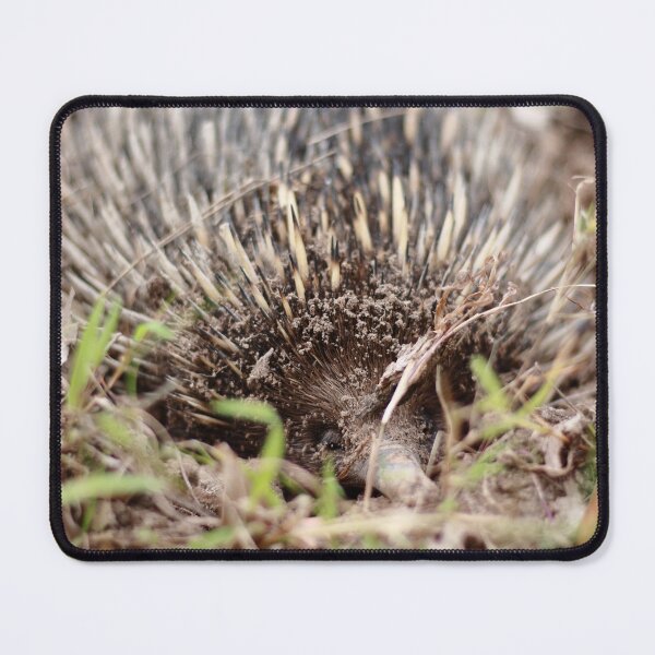 Item preview, Echidna designed and sold by Pixxowl.