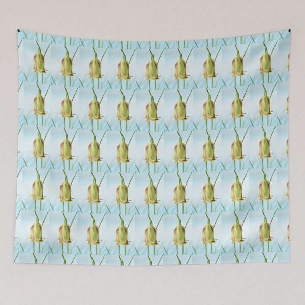 Item preview, Fritillaria acmopetala   AGM  Pointed-petal fritillary   designed and sold by Chris Burrows.