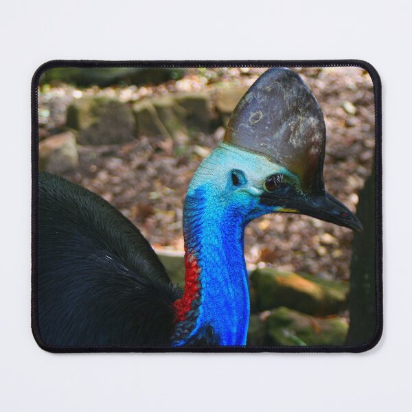 Item preview, Australian cassowary rainforest bird designed and sold by FranWest.