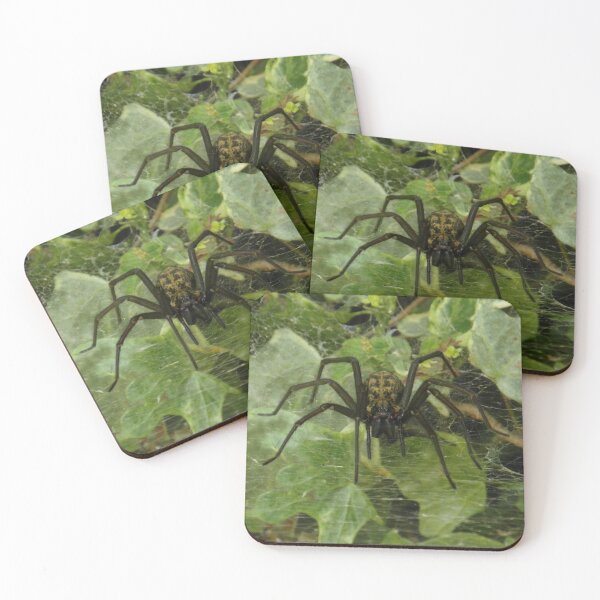 Item preview, Arachnophobia? designed and sold by Fay Freshwater.