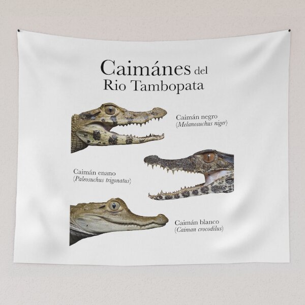Item preview, Caimánes del Rio Tambopata  designed and sold by thehalligator.
