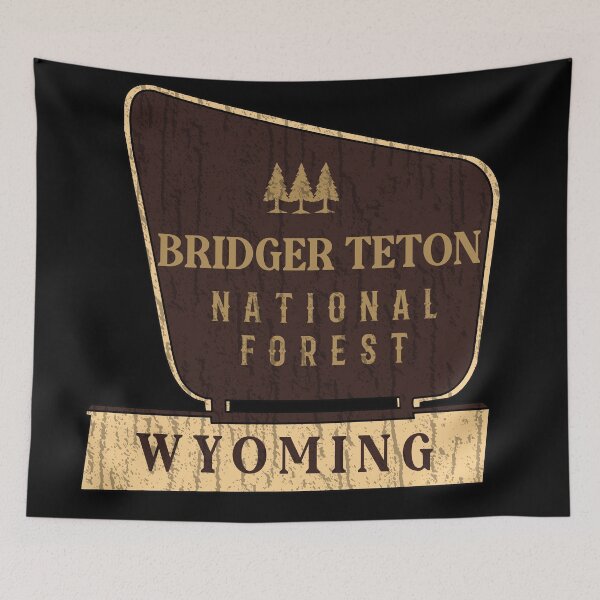 Item preview, Bridger Teton National Forest designed and sold by graphic-map.